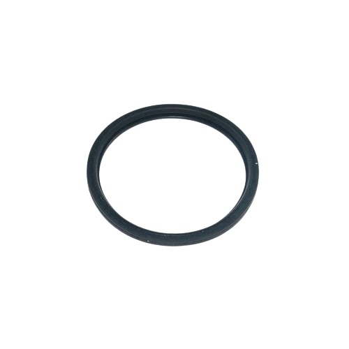 Thermostat Gasket R521548