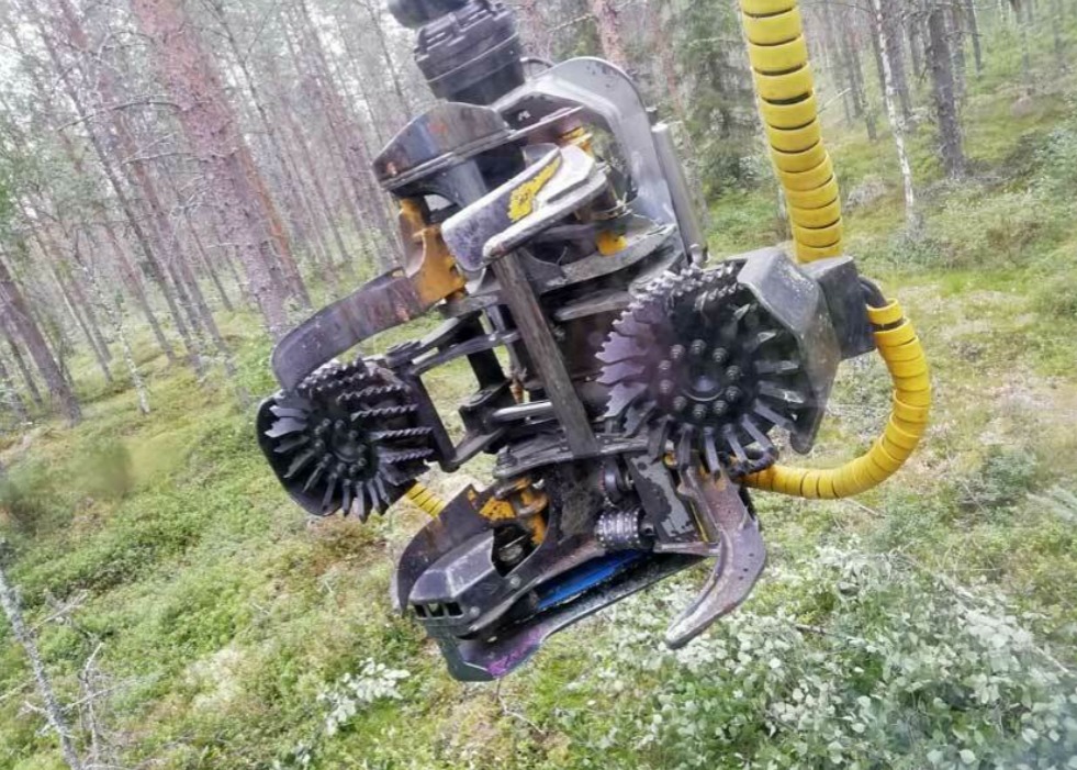 Foto 4