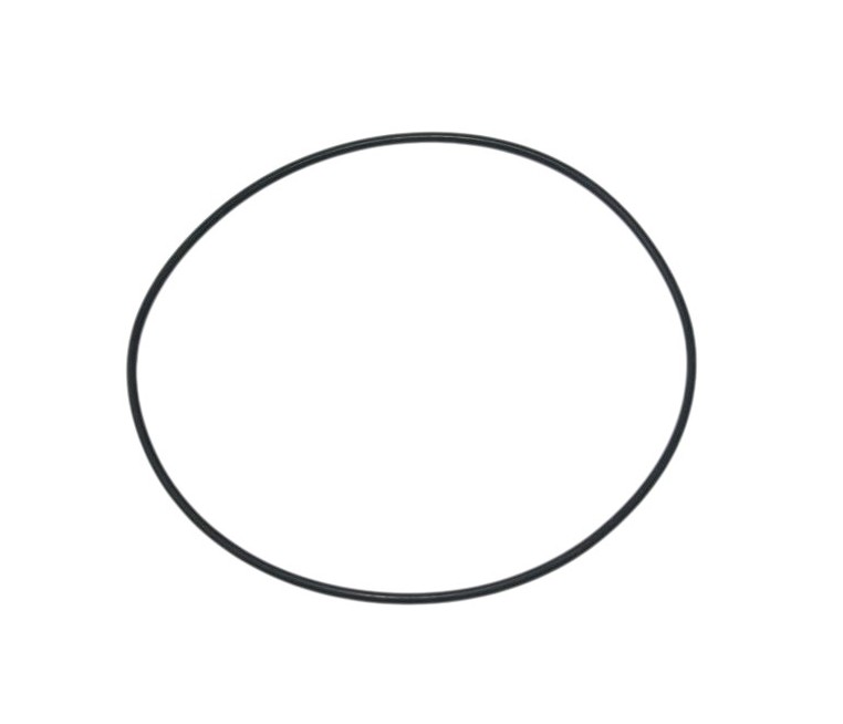 O-ring F004720